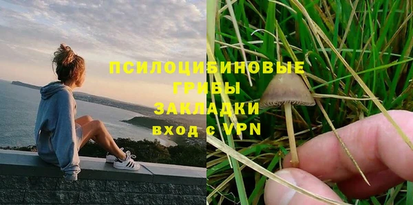 соль ск Абаза