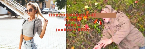 герыч Алексин